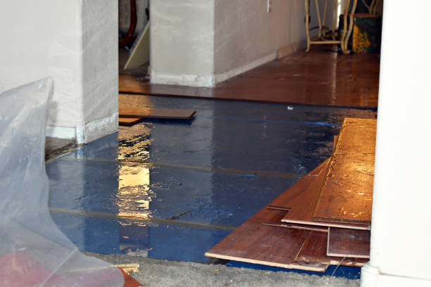 Professional Water Damage Restoration technician working in Augusta, OH